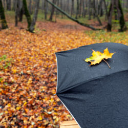 Voile d ombrage en automne eau stagnante pente et matériaux