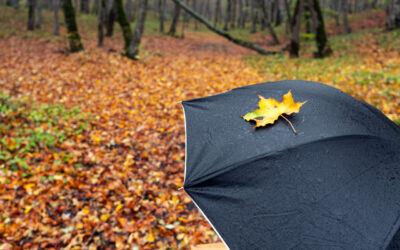 Voile d’ombrage en automne : eau stagnante, pente et matériaux