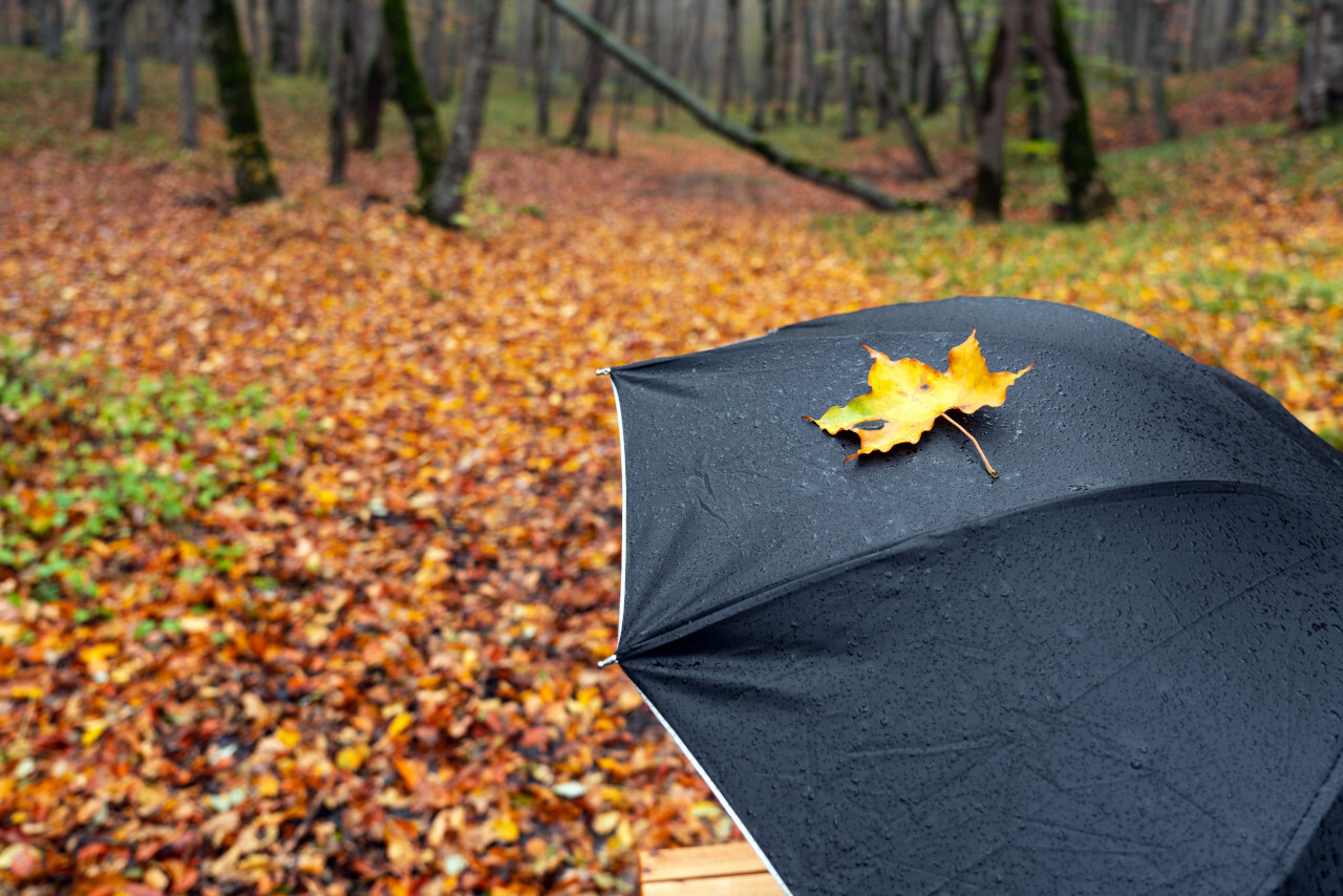 Voile d ombrage en automne eau stagnante pente et matériaux