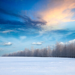 Voile d’ombrage en hiver usages alternatifs et protection