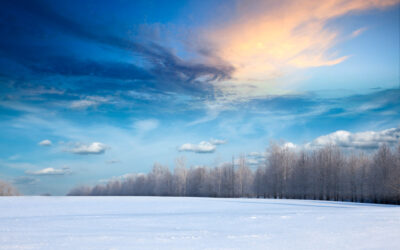 Voile d’ombrage en hiver les usages alternatifs et protection