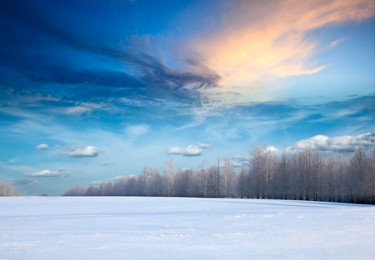 Voile d’ombrage en hiver usages alternatifs et protection